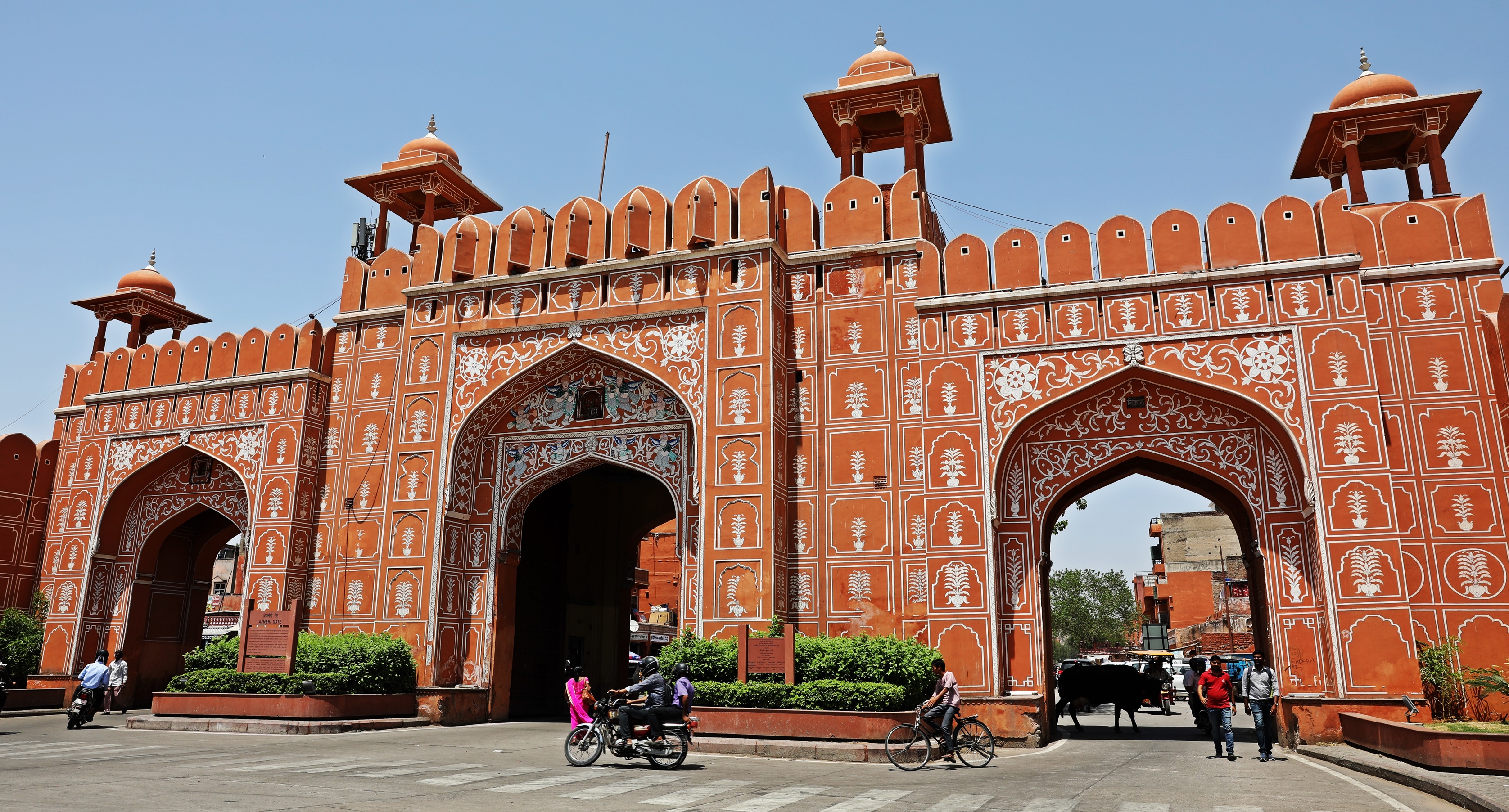 Pink Walls of Jaipur